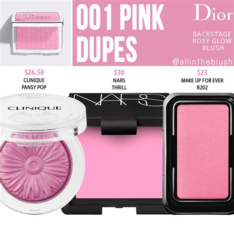 dior back stage blush|dior backstage blush dupes.